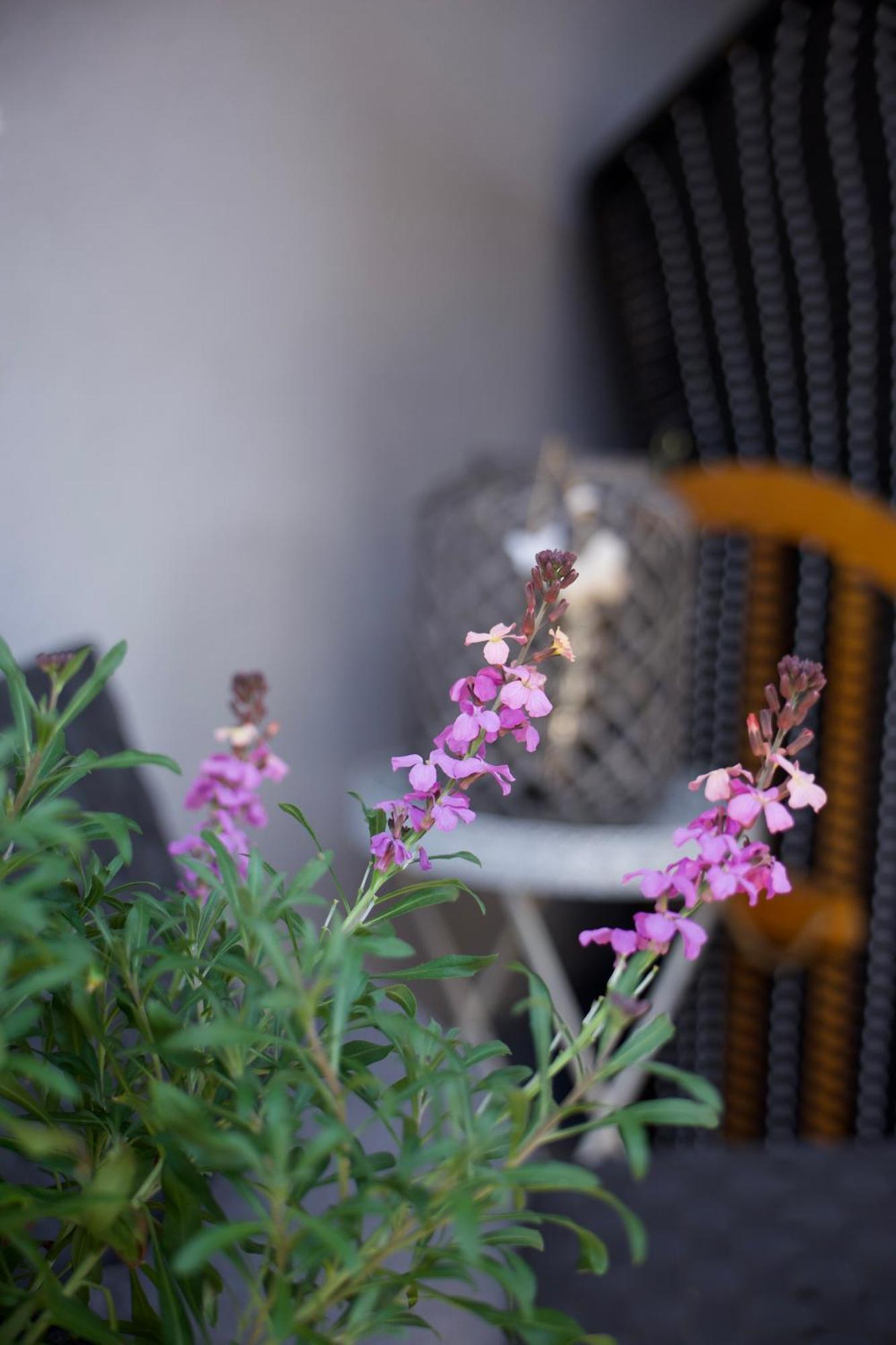 Charmantes Luxus Maisonette- Apartement บัดแฮร์สเฟลด์ ภายนอก รูปภาพ